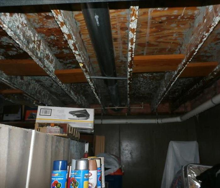 Water damage in wood beams in basement ceiling