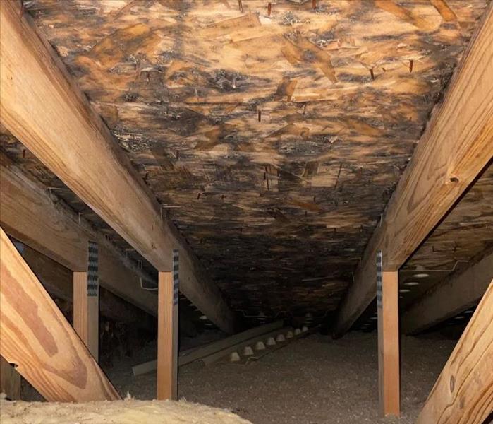 Image of attic ceiling with covered in mold