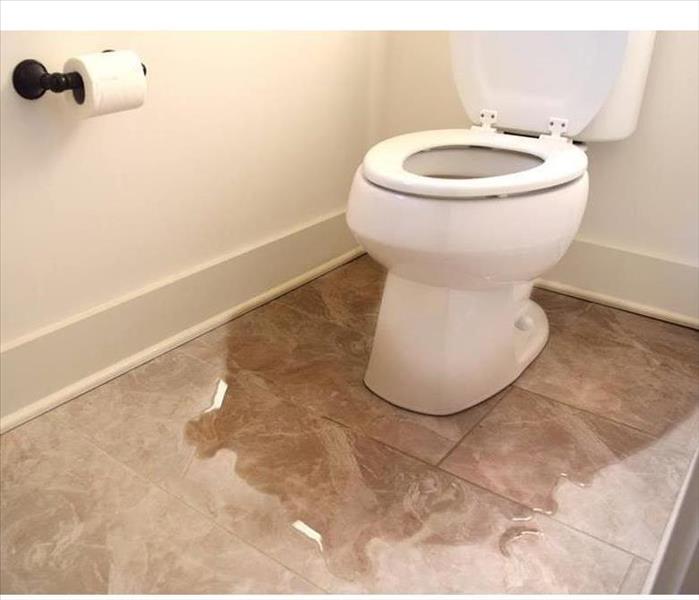 View of a toilet and water covering floor. 