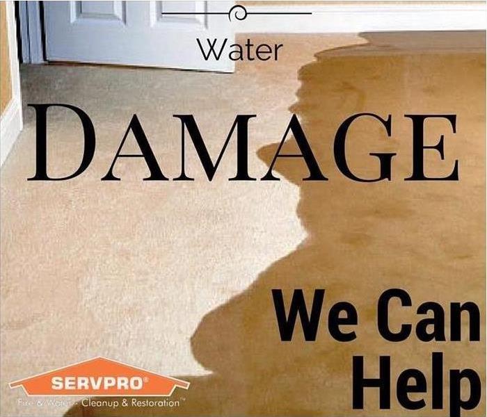 Picture of a half wet carpet and text "water damage we can help" and SERVPRO logo