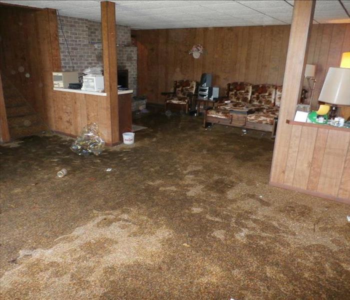 Image of a living room and entry way with many stains in carpet from flooding.