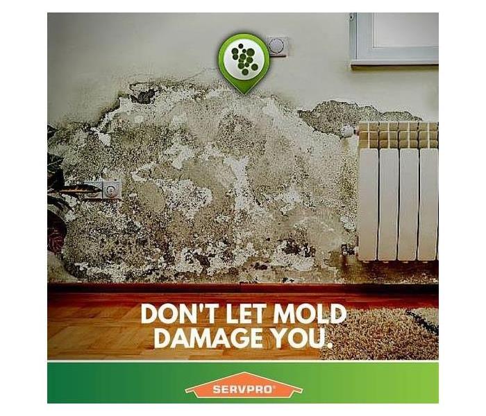 Picture of a wall affected with mold and text saying Don't let mold damage you with SERVPRO logo under it.